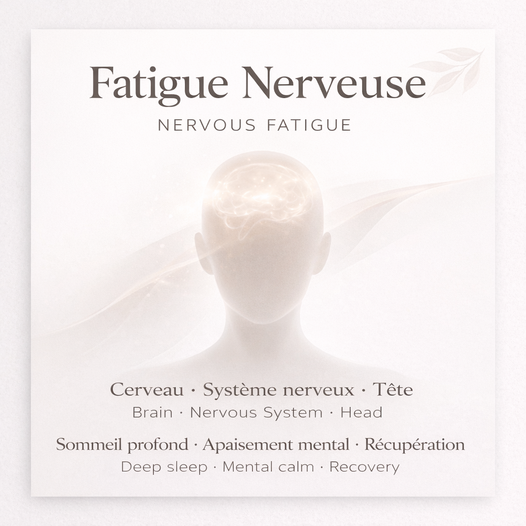 Fatigue Nerveuse – Recharger le Système, Retrouver l'Énergie Calme (-20% Coffret Complet)