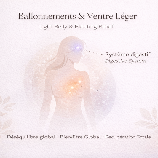 Ballonnements & Ventre Léger – Drainage, Massage & Confort Abdominal