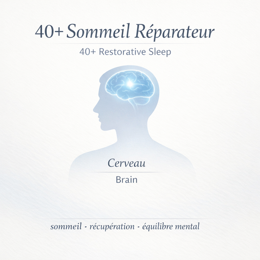 40+ Sommeil Réparateur – Endormissement Facile & Nuit Profonde