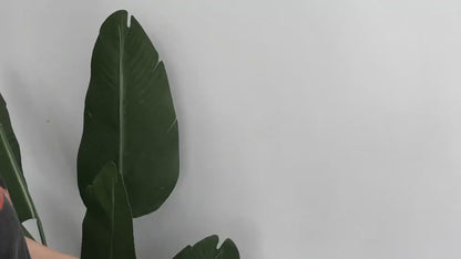 632fee68-dd26-44bd-9788-36d64f3a5ce6-6月29日 (2).mp4